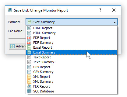 DiskPulse Server Report Formats